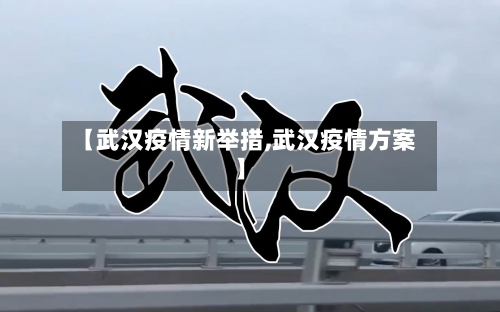 【武汉疫情新举措,武汉疫情方案】-第2张图片