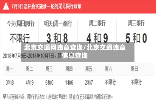 北京交通网违章查询/北京交通违章信息查询