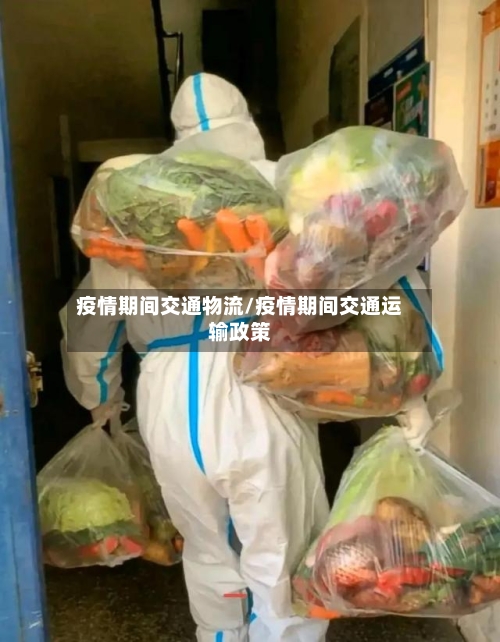 疫情期间交通物流/疫情期间交通运输政策