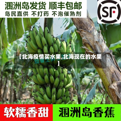 【北海疫情买水果,北海现在的水果】-第2张图片