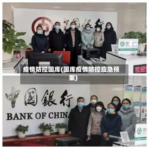 疫情防控国库(国库疫情防控应急预案)-第2张图片
