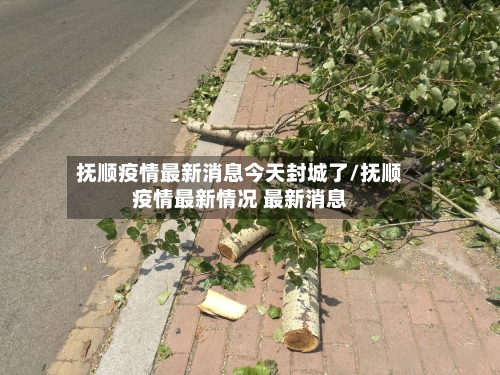 抚顺疫情最新消息今天封城了/抚顺疫情最新情况 最新消息-第3张图片