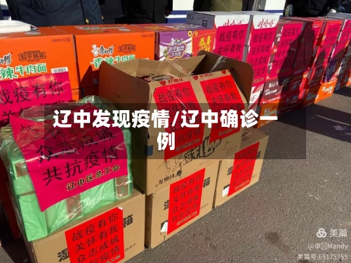 辽中发现疫情/辽中确诊一例