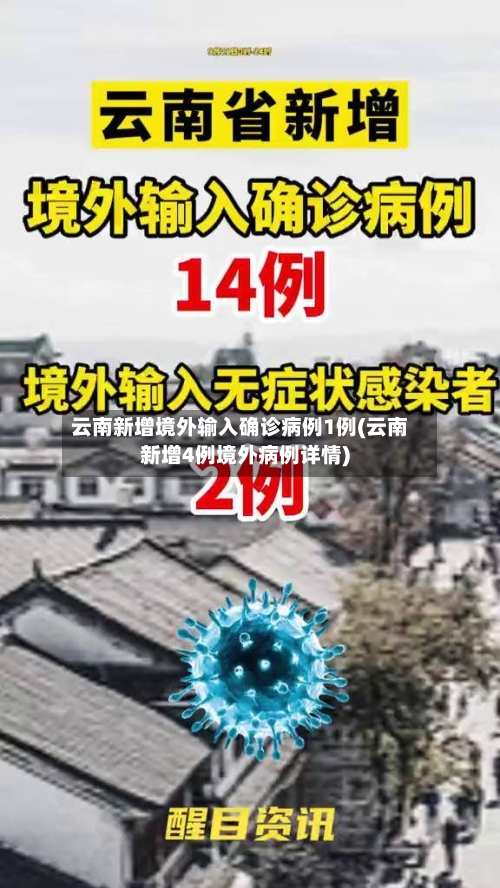 云南新增境外输入确诊病例1例(云南新增4例境外病例详情)-第2张图片