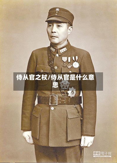 侍从官之杖/侍从官是什么意思