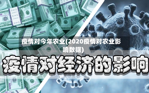 疫情对今年农业(2020疫情对农业影响数据)-第2张图片