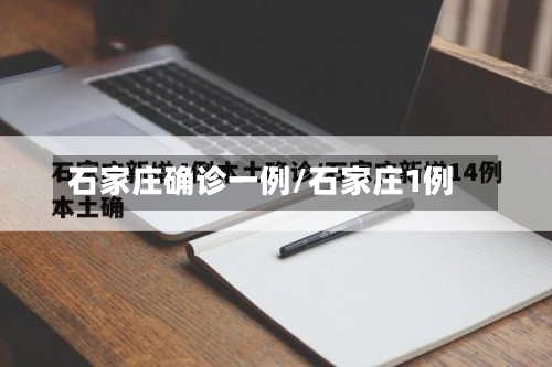 石家庄确诊一例/石家庄1例