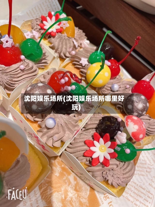 沈阳娱乐场所(沈阳娱乐场所哪里好玩)-第3张图片