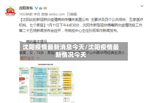 沈阳疫情最新消息今天/沈阳疫情最新情况今天-第3张图片