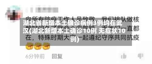 湖北省新增本土确诊病例3例均在武汉(湖北新增本土确诊10例 无症状10例)