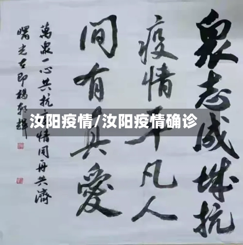 汝阳疫情/汝阳疫情确诊-第2张图片