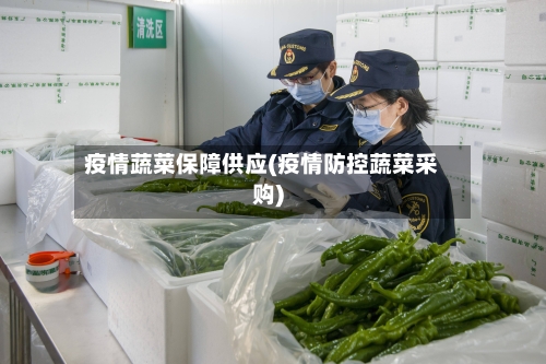 疫情蔬菜保障供应(疫情防控蔬菜采购)