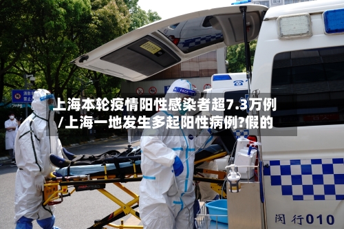 上海本轮疫情阳性感染者超7.3万例/上海一地发生多起阳性病例?假的