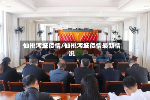 仙桃沔城疫情/仙桃沔城疫情最新情况-第2张图片