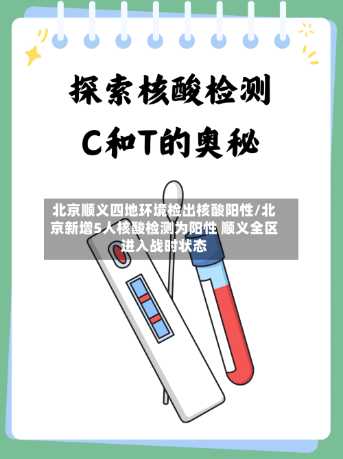 北京顺义四地环境检出核酸阳性/北京新增5人核酸检测为阳性 顺义全区进入战时状态