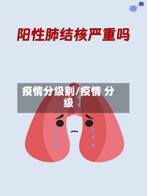 疫情分级别/疫情 分级