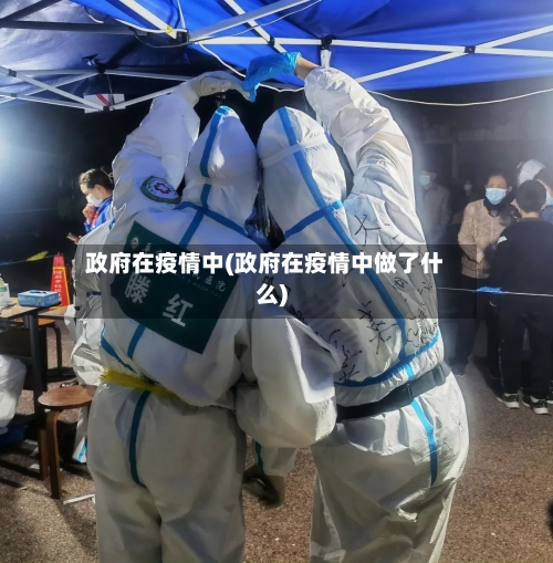 政府在疫情中(政府在疫情中做了什么)-第2张图片