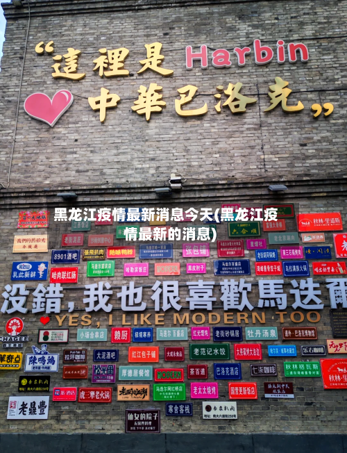 黑龙江疫情最新消息今天(黑龙江疫情最新的消息)