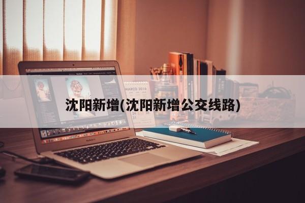 沈阳新增(沈阳新增公交线路)